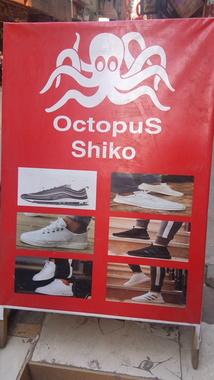 Octobus Shico